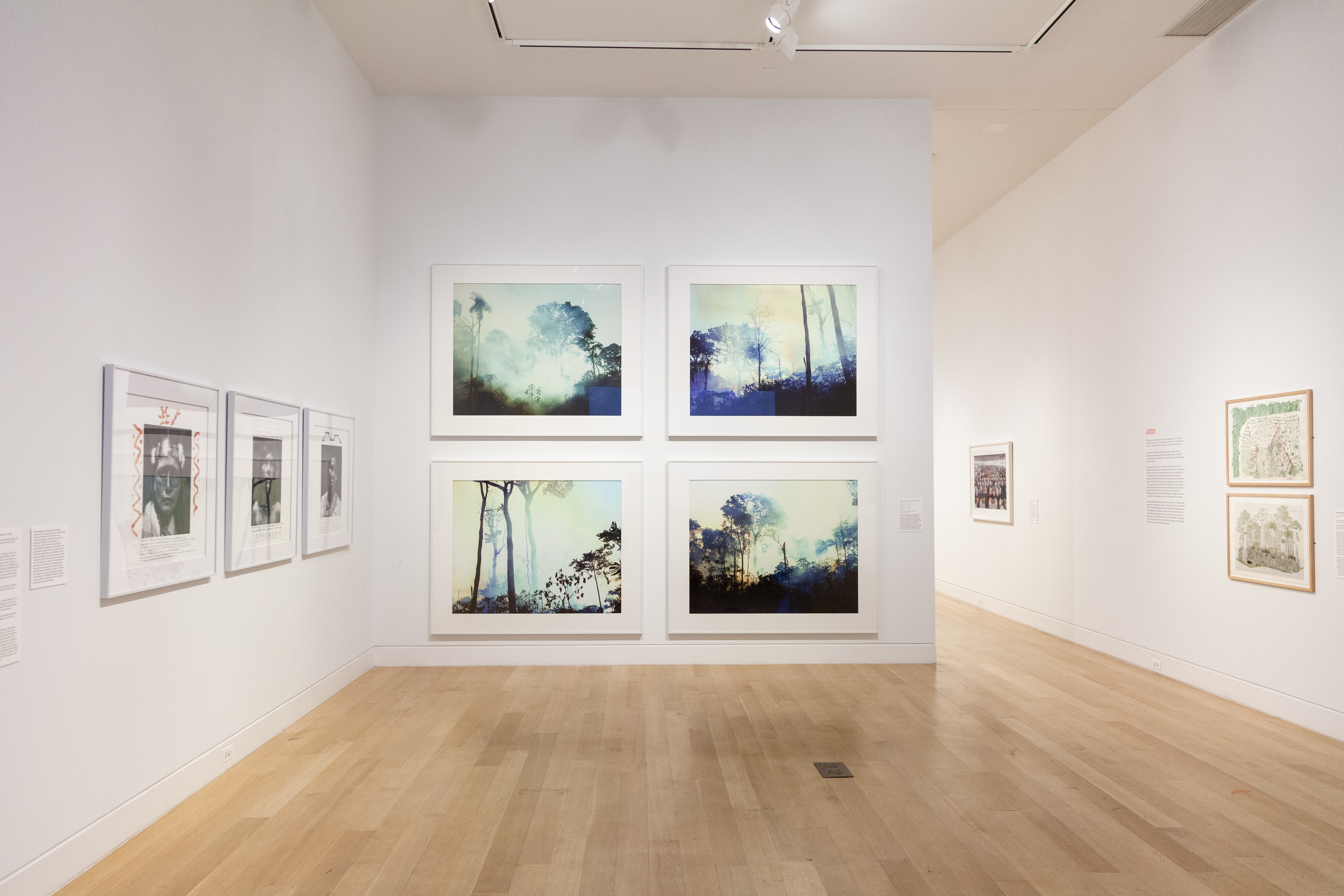 Installation view of The World to Come: Art in the Age of the Anthropocene